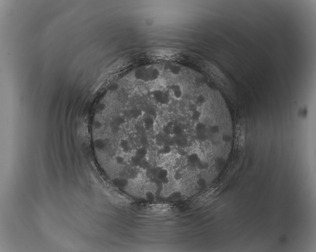 X0000112000377200908171425