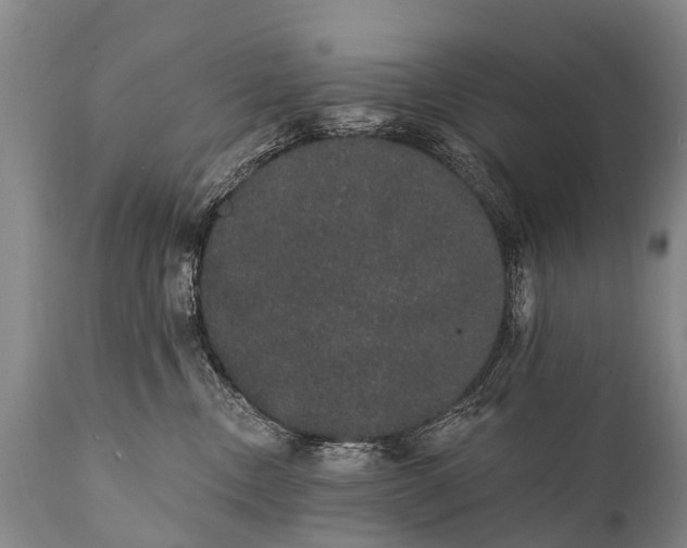 X0000112000378200908171425