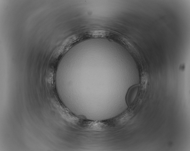 X0000112000379200908171425