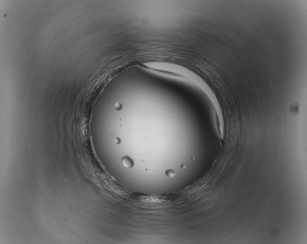 X0000112000380200908171425