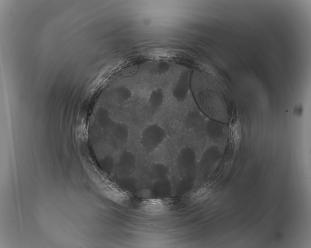 X0000112000381200908171425