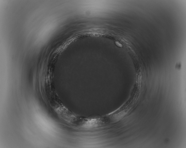 X0000112000382200908171425