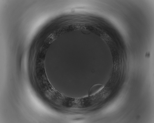 X0000112000383200908171425