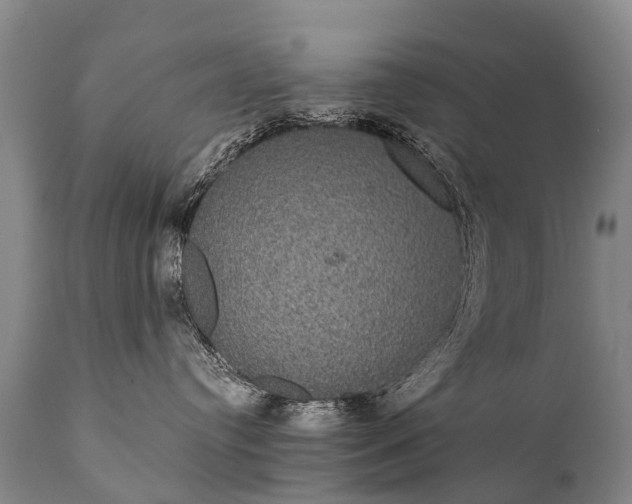 X0000112000384200908171425