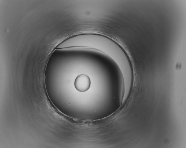 X0000112000385200908171424