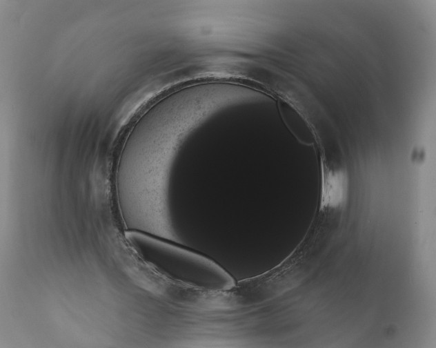 X0000112000387200908171424