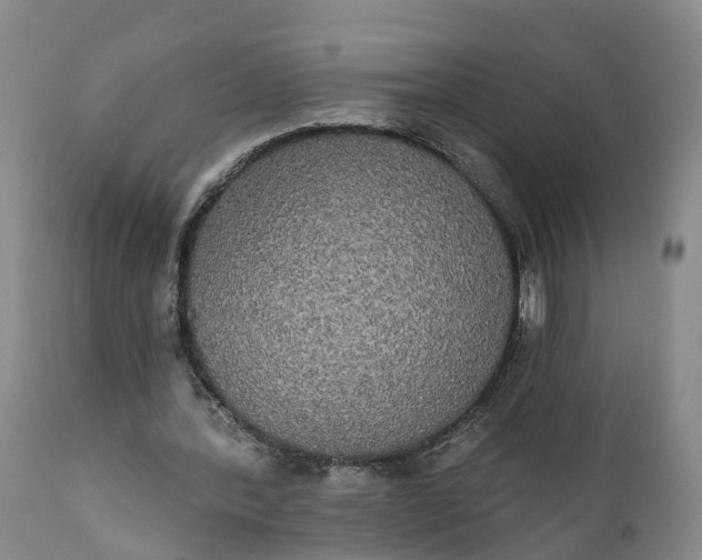 X0000112000388200908171424