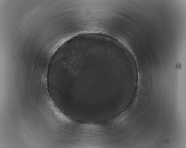 X0000112000389200908171424