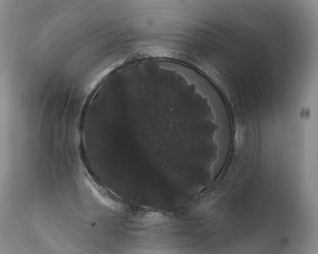 X0000112000390200908171424