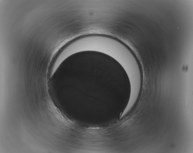 X0000112000391200908171424