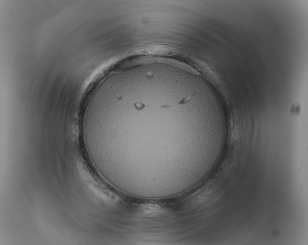 X0000112000392200908171424