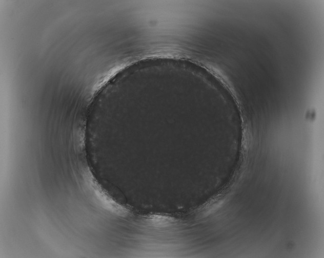 X0000112000393200908171424