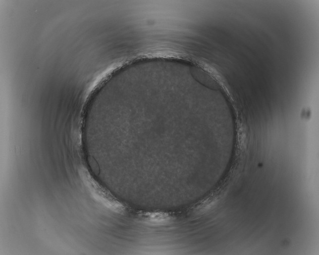 X0000112000395200908171424