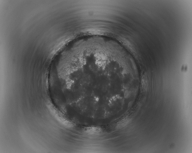 X0000112000398200908171424