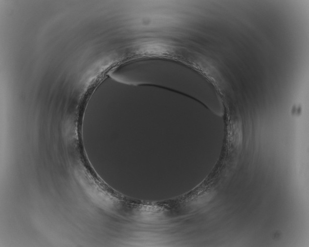 X0000112000399200908171424