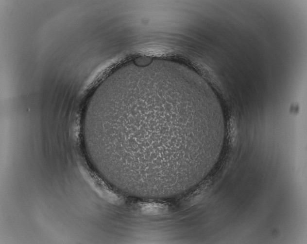 X0000112000400200908171424