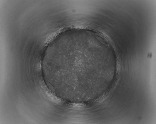 X0000112000401200908171424