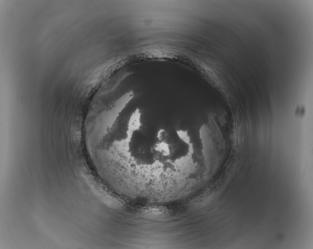 X0000112000402200908171424