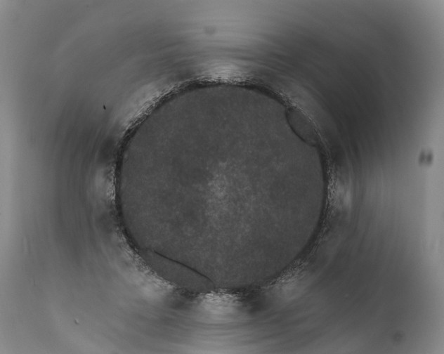 X0000112000403200908171424