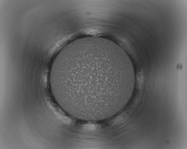 X0000112000404200908171424