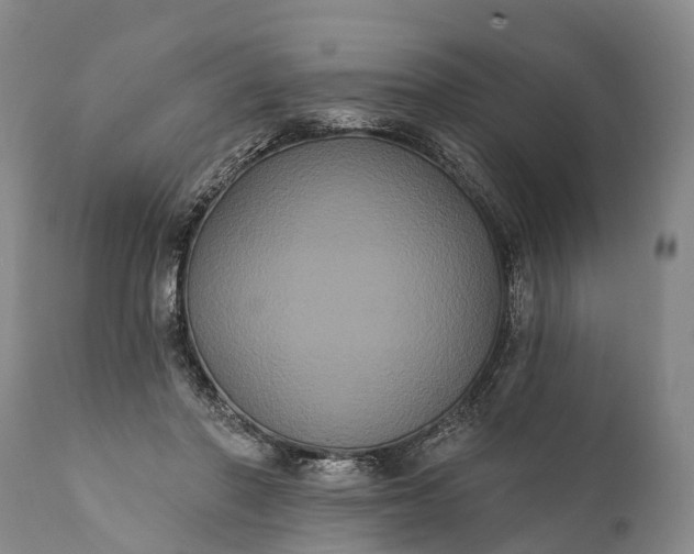 X0000112000406200908171424