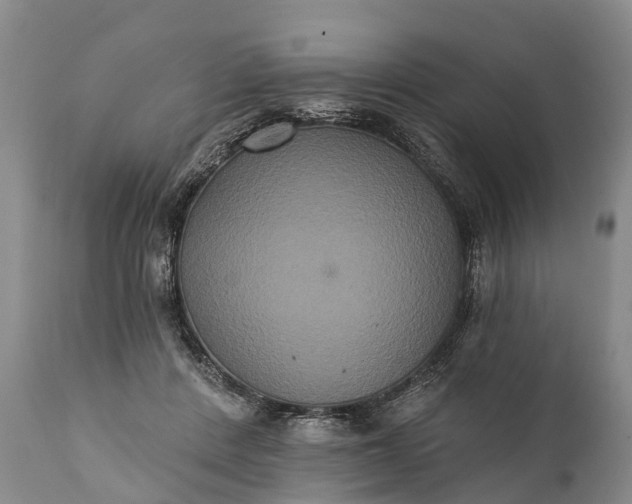 X0000112000408200908171424