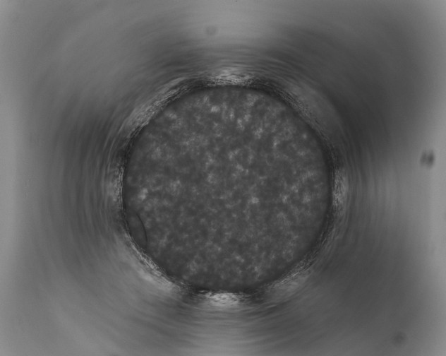 X0000112000409200908171424