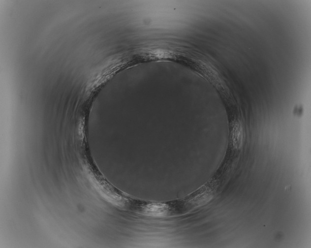 X0000112000410200908171424