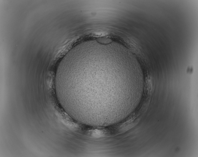 X0000112000412200908171424