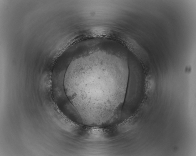 X0000112000413200908171424