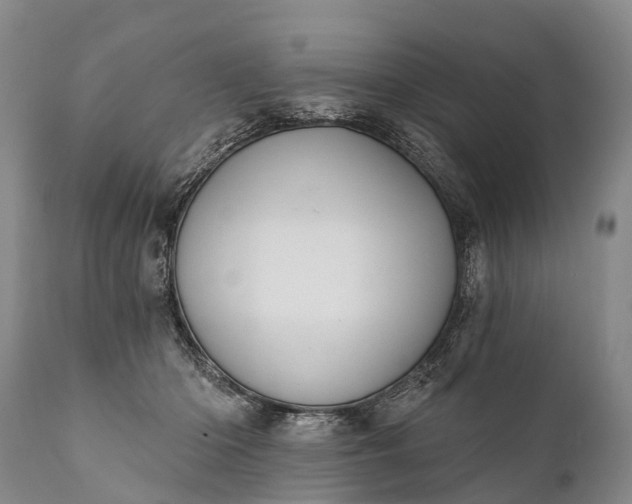 X0000112000414200908171424