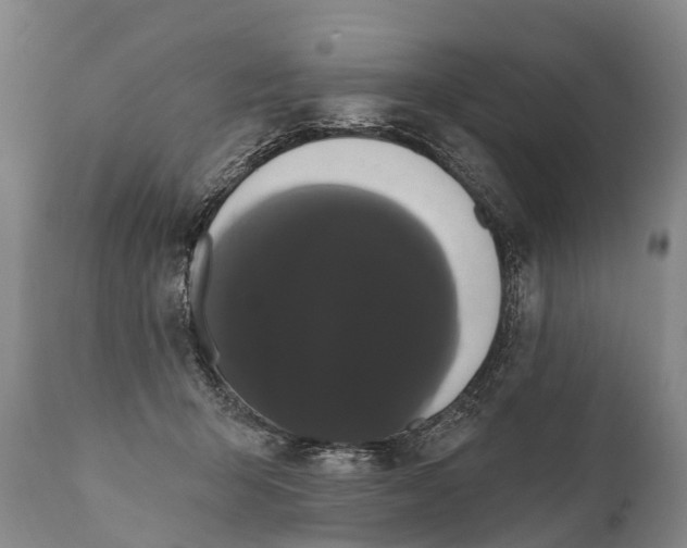 X0000112000415200908171424