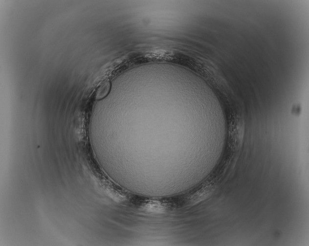 X0000112000416200908171424