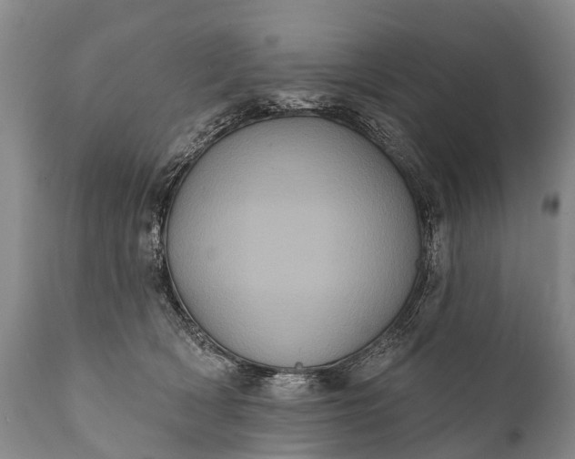 X0000112000418200908171424