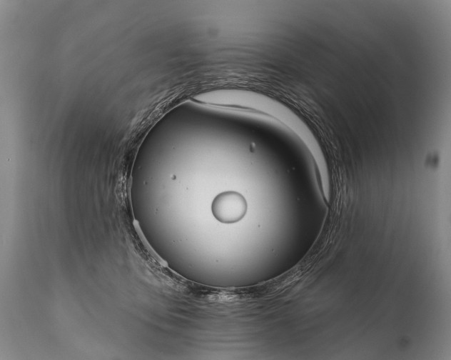 X0000112000419200908171424