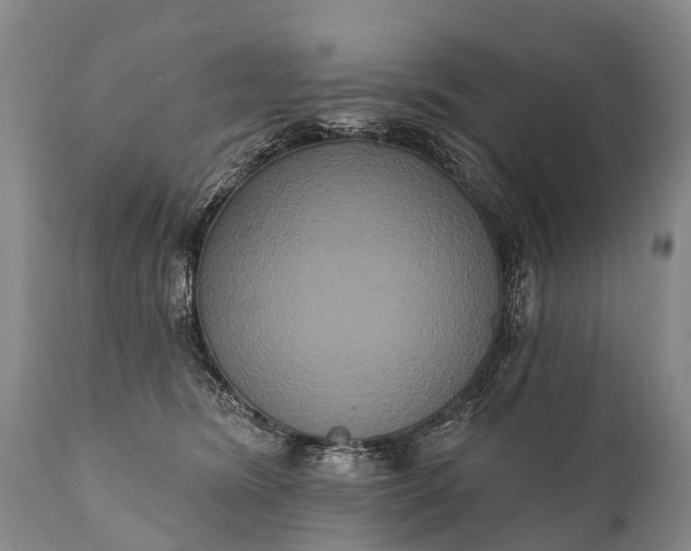 X0000112000420200908171424