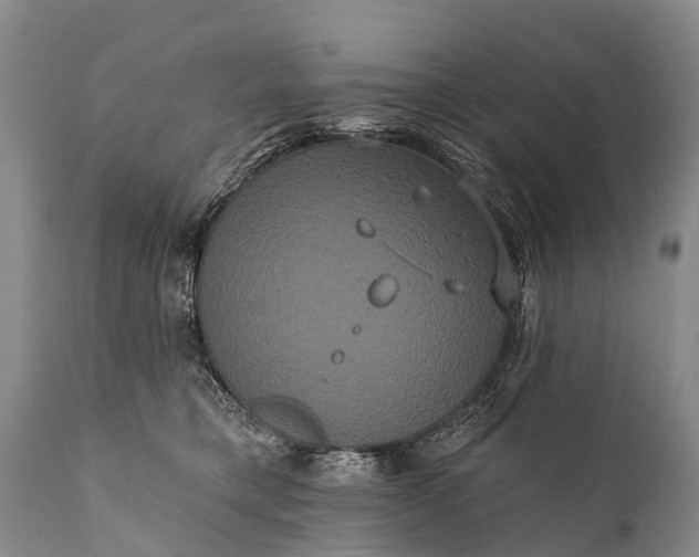 X0000112000421200908171424