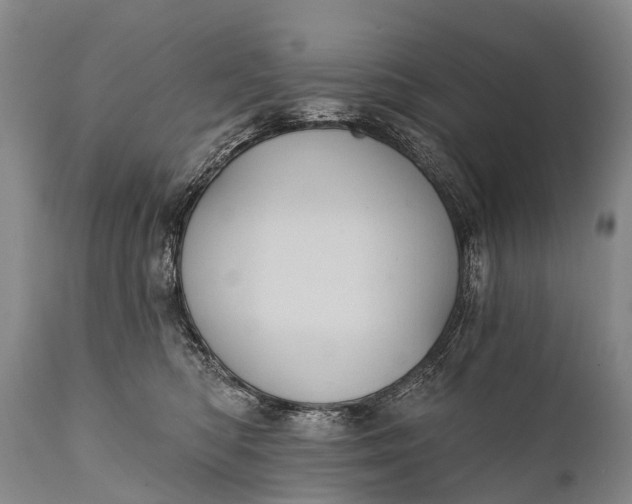 X0000112000422200908171424