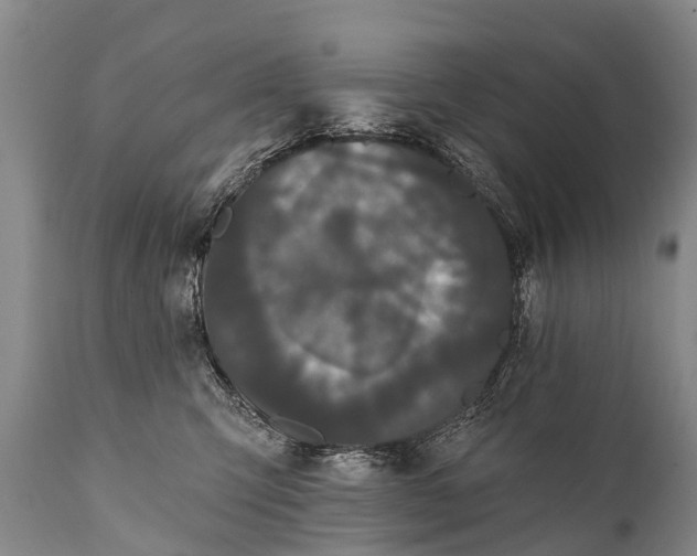 X0000112000423200908171424