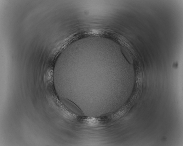 X0000112000425200908171424