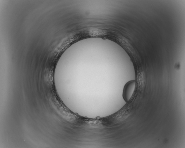 X0000112000426200908171424