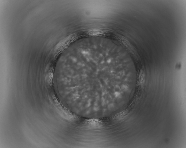 X0000112000427200908171424