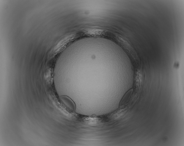 X0000112000428200908171424