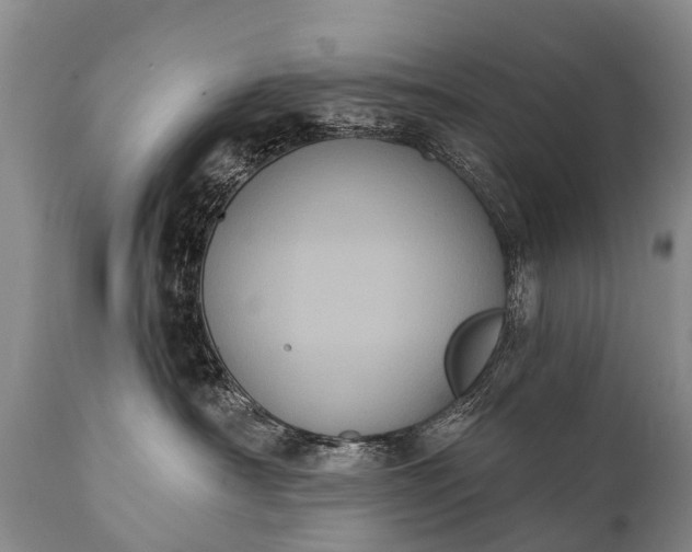 X0000112000430200908171424