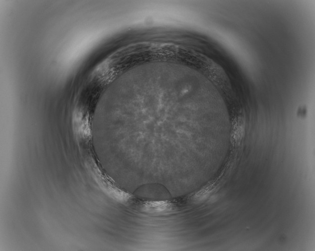 X0000112000431200908171424