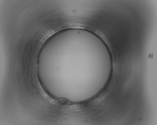 X0000112000433200908171423