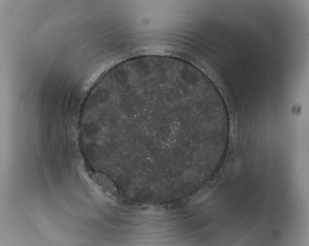 X0000112000434200908171423