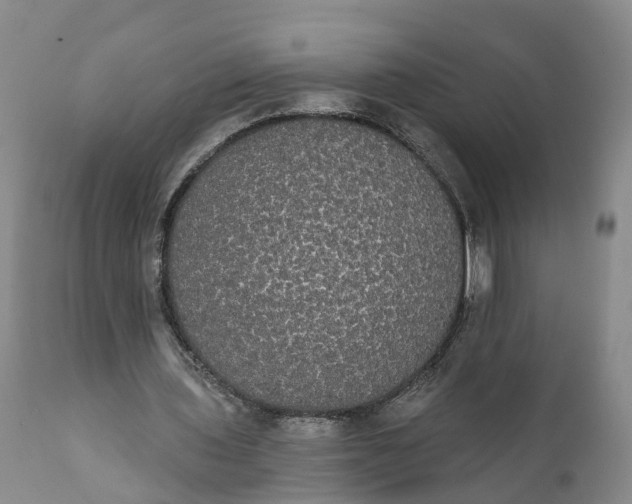 X0000112000435200908171423