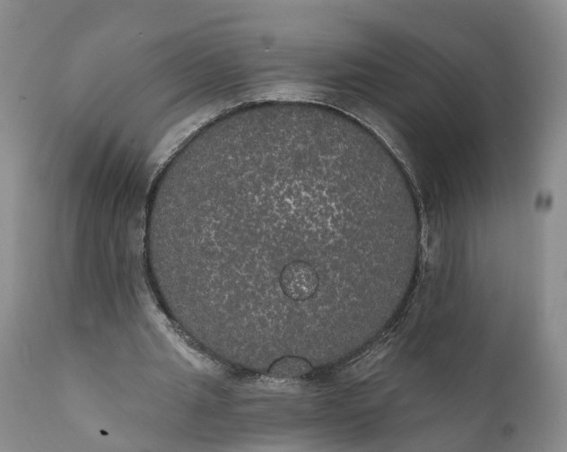 X0000112000437200908171423