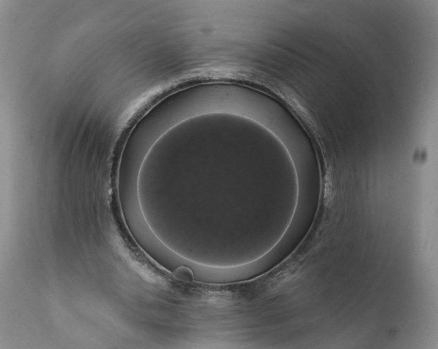 X0000112000438200908171423